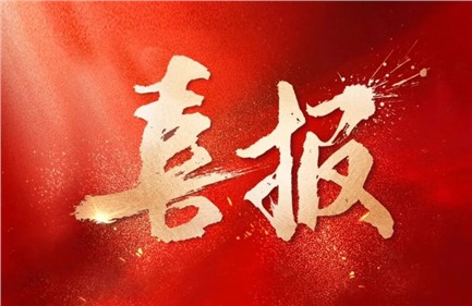 喜報(bào)|威勝集團(tuán)中標(biāo)國(guó)家電網(wǎng)項(xiàng)目，總中標(biāo)金額超1.15億元，行業(yè)排名第一！