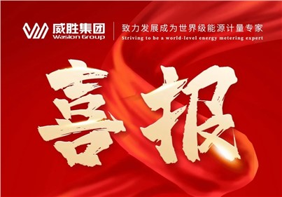 排名第一！威勝集團2024年中標(biāo)國網(wǎng)總部集中招標(biāo)采購項目總金額達5.97億元！